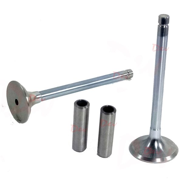Lister ST Valve In 201-80250 & Ex 201-80241 and Guide 201-55640 set