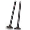 Lister J Engine Valve Pair