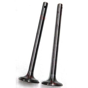 Lister J Engine Valve Pair