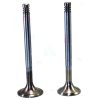 Bukh DV48 Inlet Exhaust Valve 000E4887 000E4888