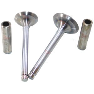 Lister STW Inlet 201-90040 and Exhaust Valve 201-90051