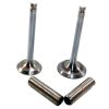LISTER STW Inlet Valve 201-90040 and Exhaust valve 201-90051