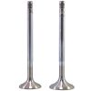 Bukh DV20 Inlet Exhaust Valve 000E9113 000E9114