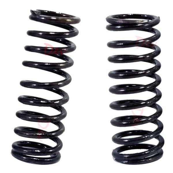 SABB G 2G 90mm Inlet Exhaust Valve Spring P/n 734m