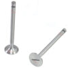 Lister LR LD Inlet Exhaust Valve 201-19360