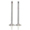Lister LR1 LD1 Inlet Exhaust Valve Part No 201-19360