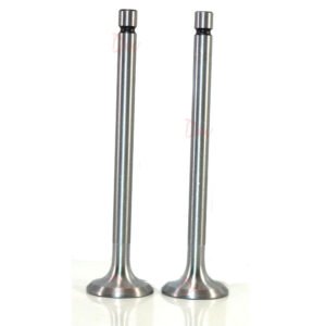 Lister LR2 LD2 Diesel Engine In-Ex Valve Pt No 201-19360